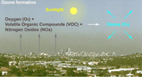 Volatile Organic Compounds (VOC's) 